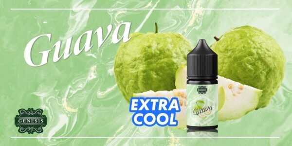 GENESIS GS DER 小油 油品