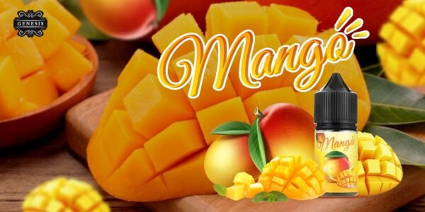 GENESIS GS DER 小油 油品